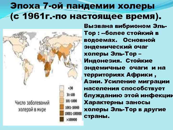Эпоха 7 ой пандемии холеры (с 1961 г. по настоящее время). Вызвана вибрионом Эль