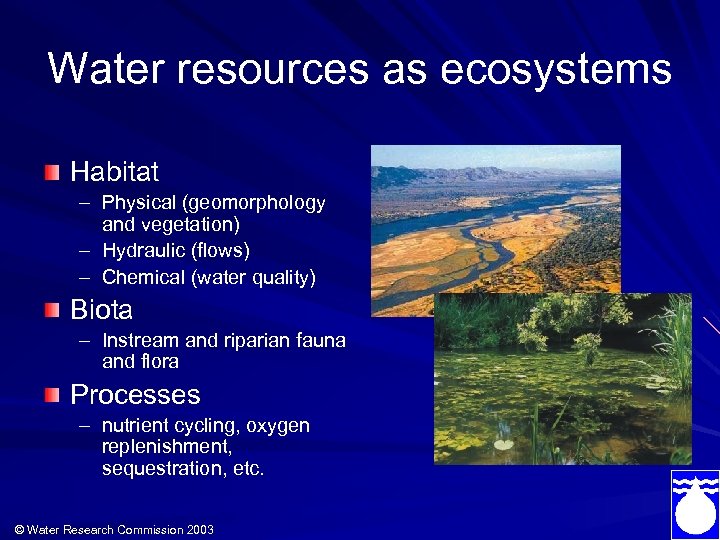 Water resources as ecosystems Habitat – Physical (geomorphology and vegetation) – Hydraulic (flows) –