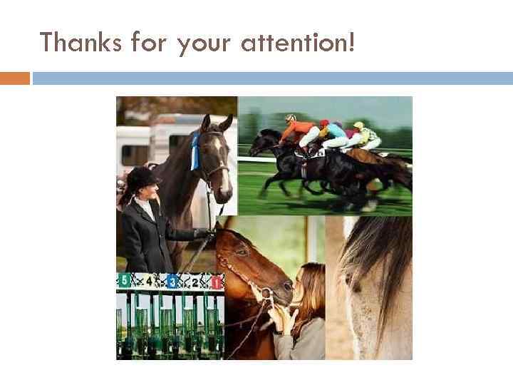 Thanks for your attention! 