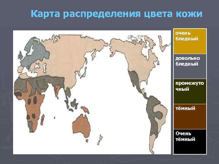 Карта распределения цвета кожи очень бледный довольно бледный промежуто чный тёмный Очень тёмный 