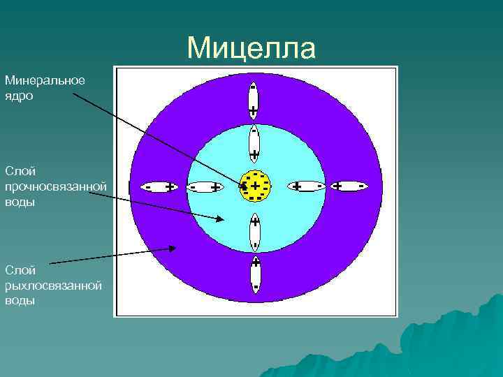 Мицелла Минеральное ядро Слой прочносвязанной воды Слой рыхлосвязанной воды 