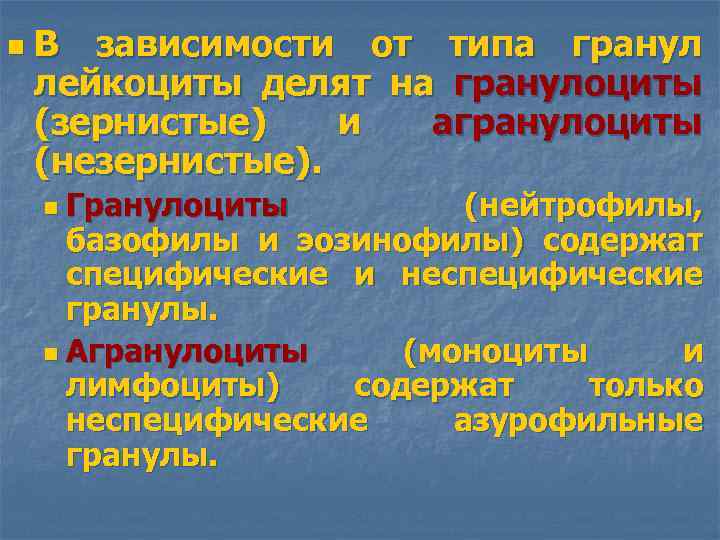 n В зависимости от типа гранул лейкоциты делят на гранулоциты (зернистые) и агранулоциты (незернистые).