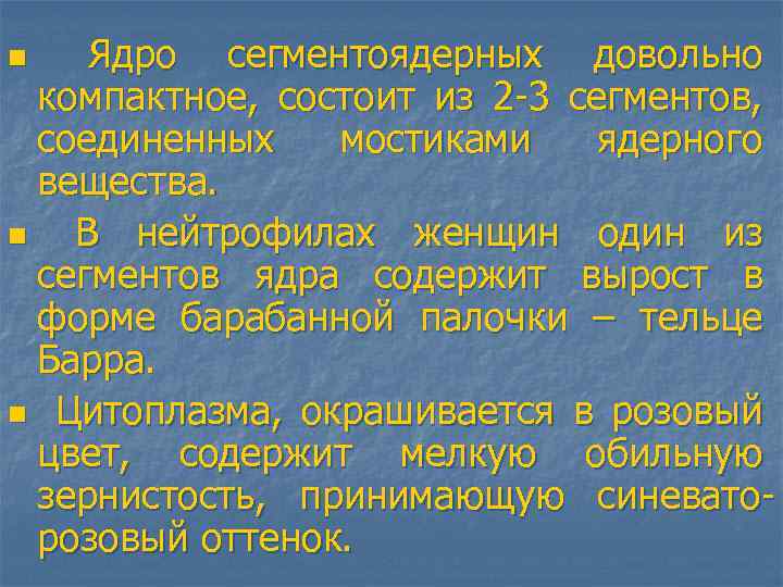 Ядро сегментоядерных довольно компактное, состоит из 2 -3 сегментов, соединенных мостиками ядерного вещества. n