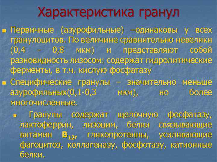 Характеристика гранул n n Первичные (азурофильные) –одинаковы у всех гранулоцитов. По величине сравнительно невелики