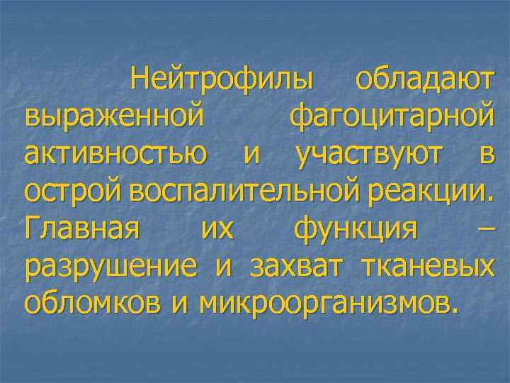 Нейтрофилы обладают выраженной фагоцитарной активностью и участвуют в острой воспалительной реакции. Главная их функция
