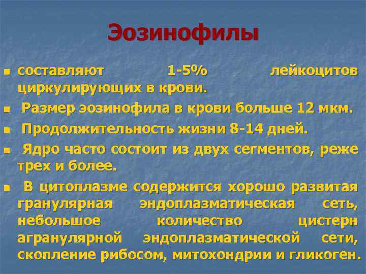 Эозинофилы n n n составляют 1 -5% лейкоцитов циркулирующих в крови. Размер эозинофила в