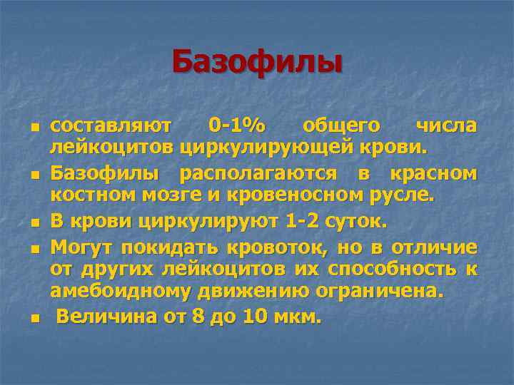 Базофилы n n n составляют 0 -1% общего числа лейкоцитов циркулирующей крови. Базофилы располагаются