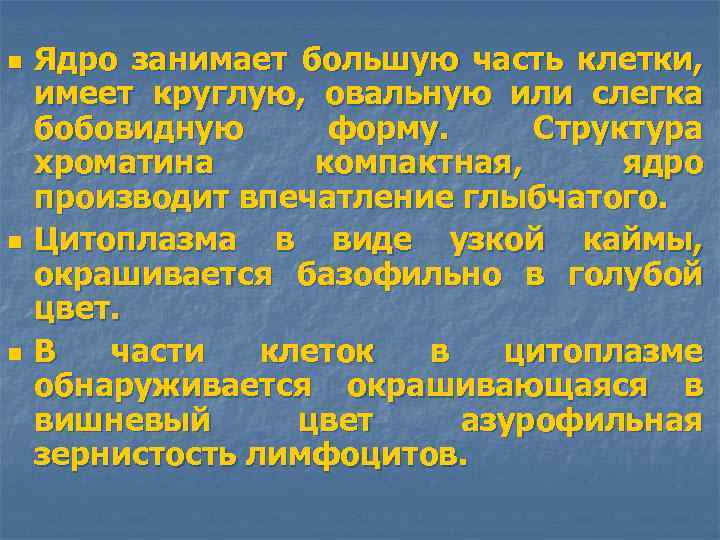 n n n Ядро занимает большую часть клетки, имеет круглую, овальную или слегка бобовидную