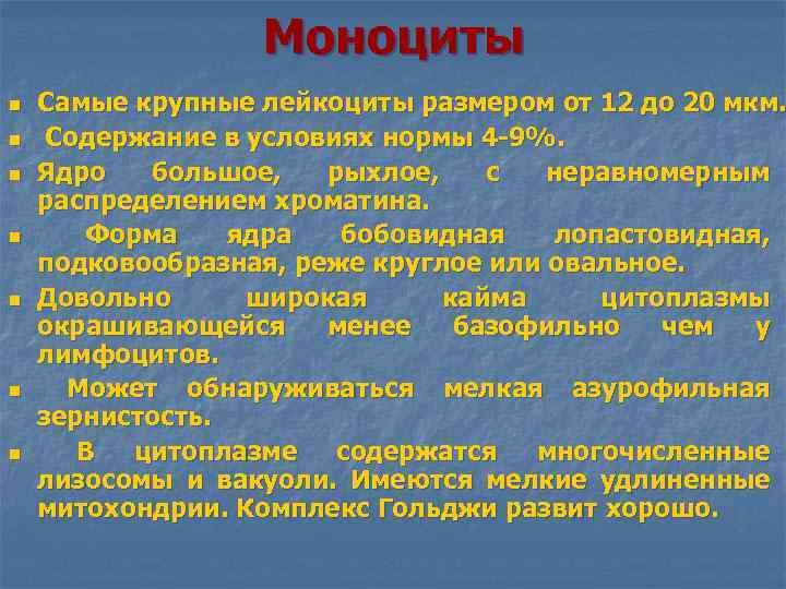 Моноциты n n n n Самые крупные лейкоциты размером от 12 до 20 мкм.