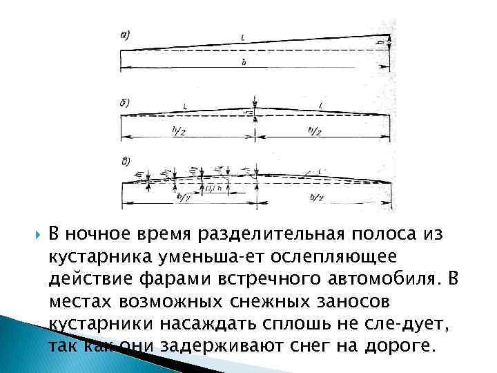  В ночное время разделительная полоса из кустарника уменьша ет ослепляющее действие фарами встречного
