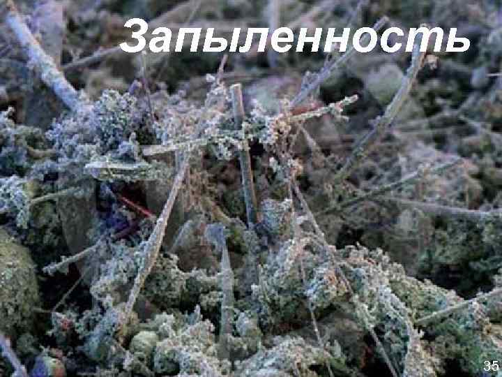 Запыленность 35 