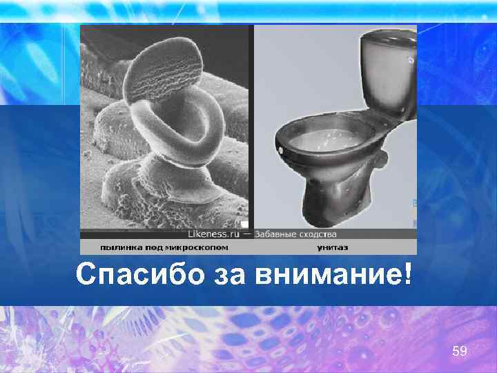Спасибо за внимание! 59 