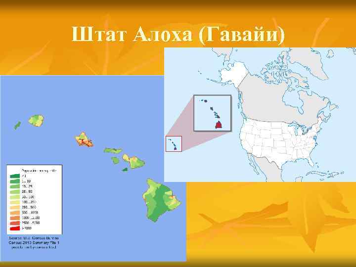 Штат Алоха (Гавайи) 