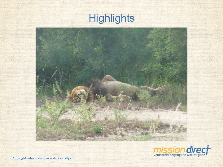 Highlights Copyright information or note / smallprint 