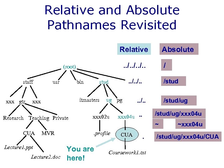 Relative and Absolute Pathnames Revisited Relative. . /. . (root) staff xxx gtr usr