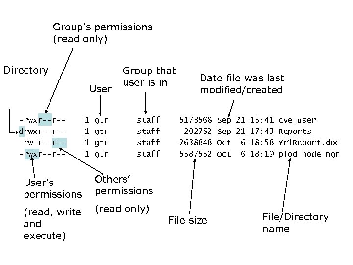 Group’s permissions (read only) Directory User -rwxr--r-drwxr--r--rw-r--r--rwxr--r-- 1 1 gtr gtr Group that user