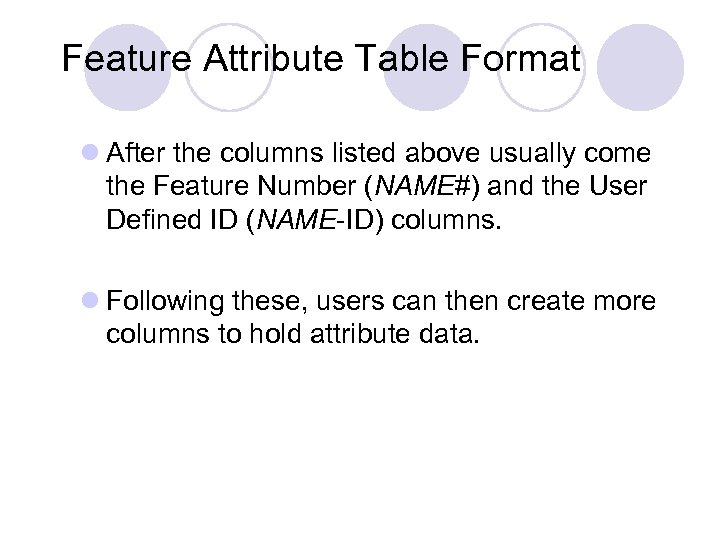 Feature Attribute Table Format l After the columns listed above usually come the Feature