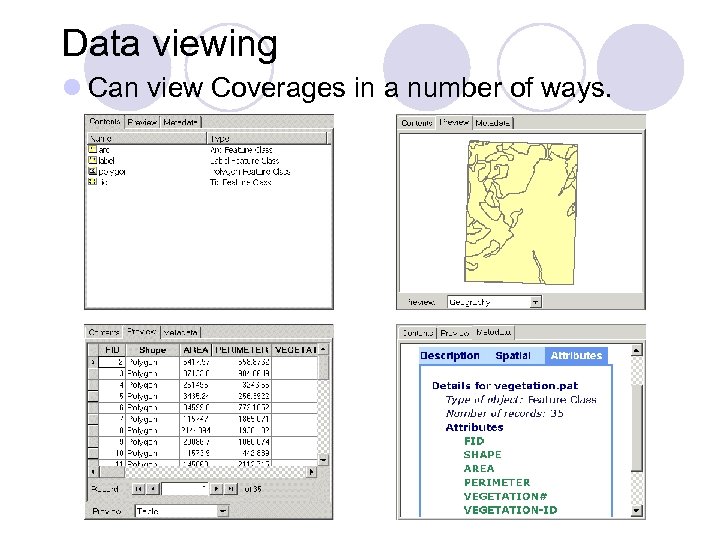 Data viewing l Can view Coverages in a number of ways. 