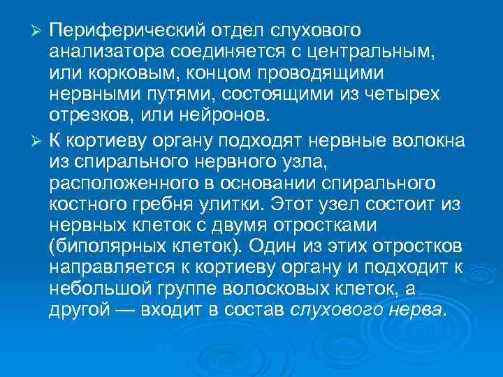 Периферический отдел слухового анализатора соединяется с центральным, или корковым, концом проводящими нервными путями, состоящими