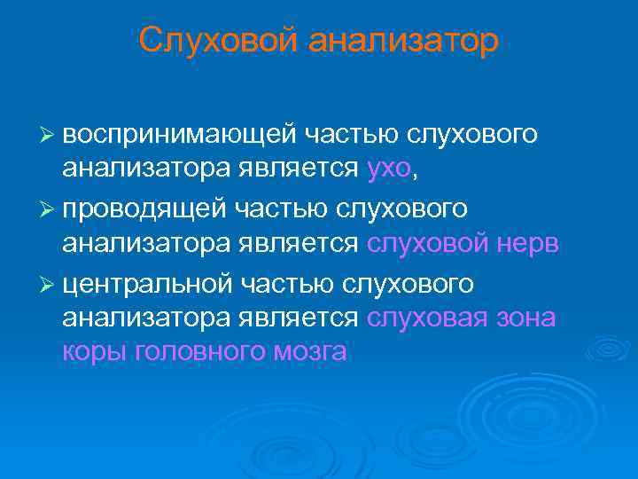 Слуховой анализатор Ø воспринимающей частью слухового анализатора является ухо, Ø проводящей частью слухового анализатора