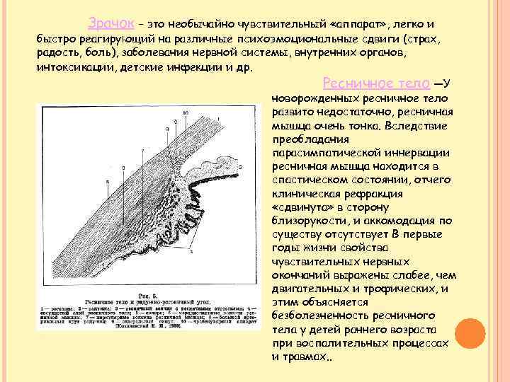 Зрачок - это необычайно чувствительный «аппарат» , легко и быстро реагирующий на различные психоэмоциональные