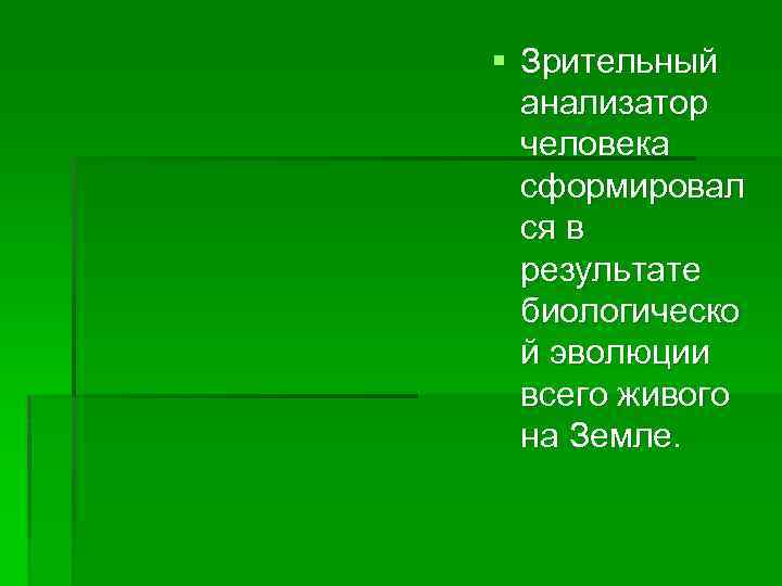 § Зрительный анализатор человека сформировал ся в результате биологическо й эволюции всего живого на