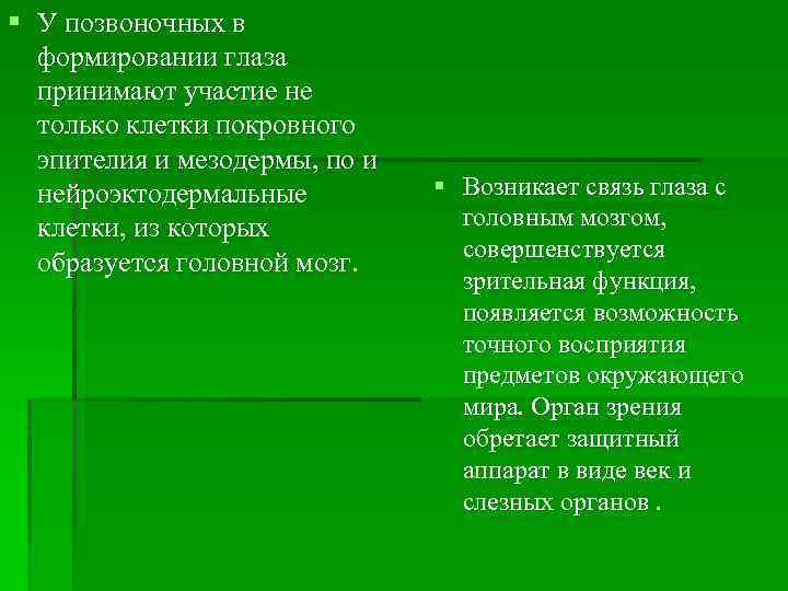 § У позвоночных в формировании глаза принимают участие не только клетки покровного эпителия и