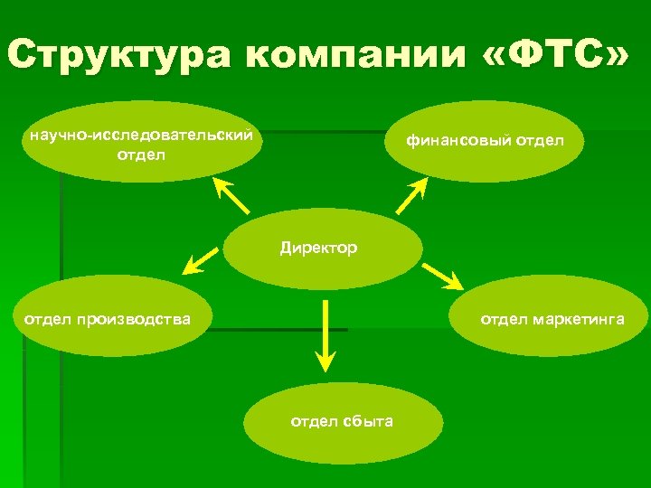Структура компании «ФТС» научно-исследовательский отдел финансовый отдел Директор отдел производства отдел маркетинга отдел сбыта