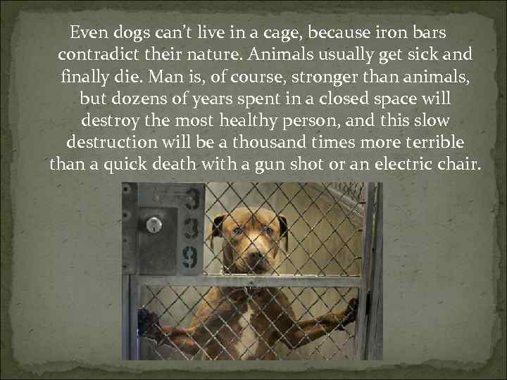 Even dogs can’t live in a cage, because iron bars contradict their nature. Animals