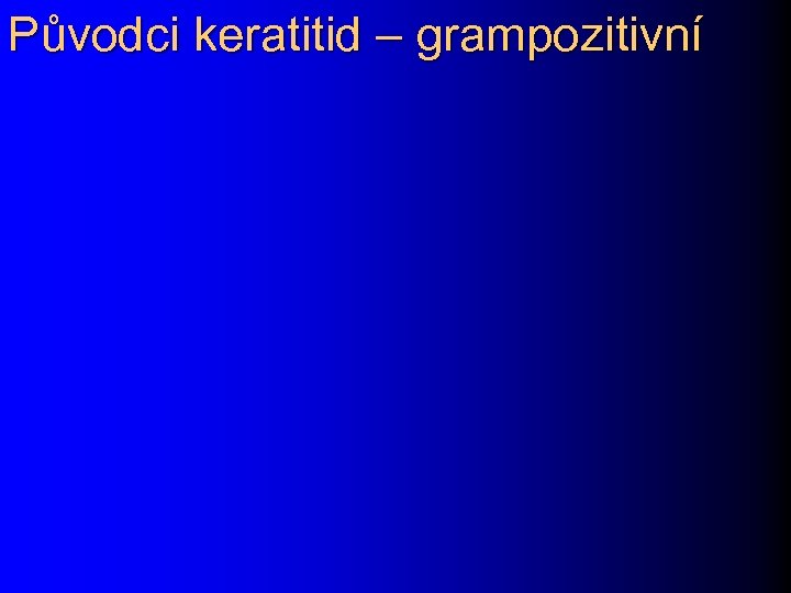 Původci keratitid – grampozitivní 