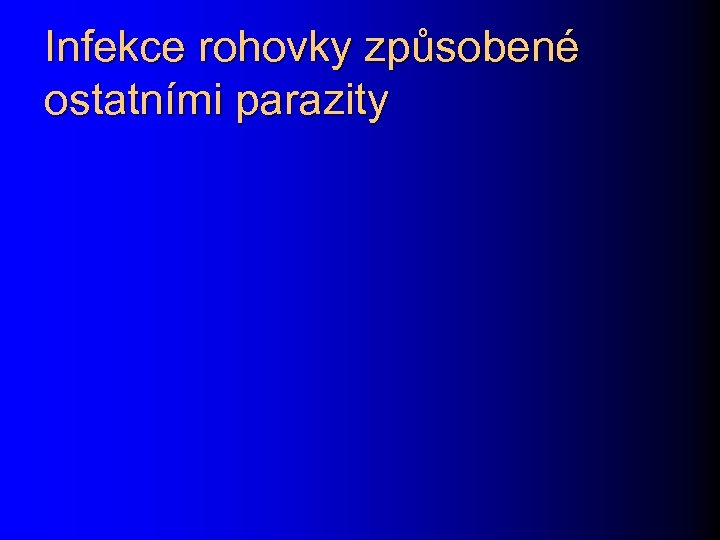 Infekce rohovky způsobené ostatními parazity 