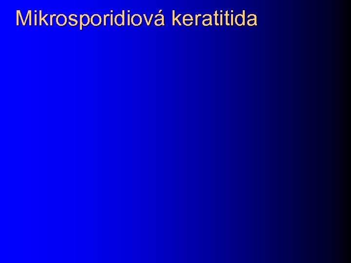 Mikrosporidiová keratitida 