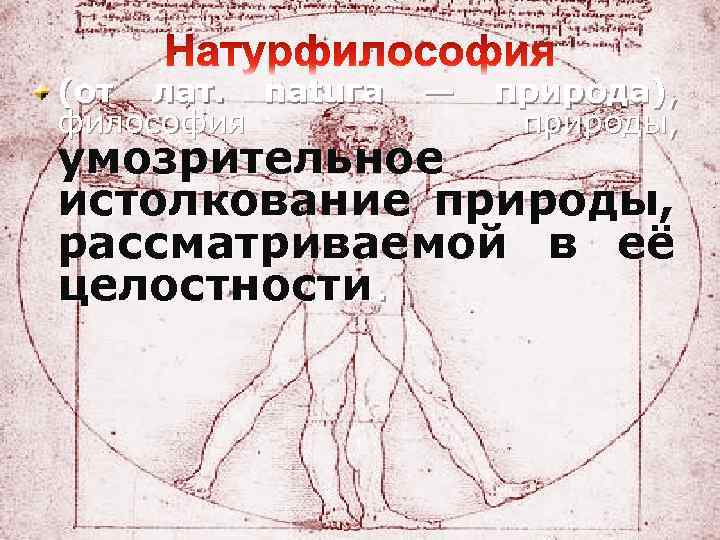(от лат. natuга философия — природа), природы, умозрительное истолкование природы, рассматриваемой в её целостности.