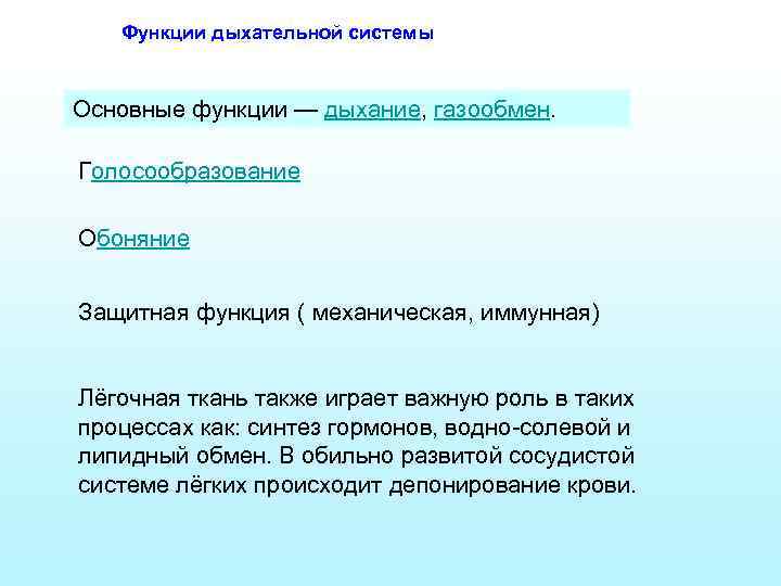 Функции дыхательной системы Основные функции — дыхание, газообмен. Голосообразование Обоняние Защитная функция ( механическая,