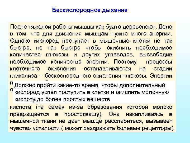 Бескислородная среда это где. Бескислородное дыхание. Как называется бескислородное дыхание. Бескислородный Тип дыхания у кого. Бескислородная работа мышц.