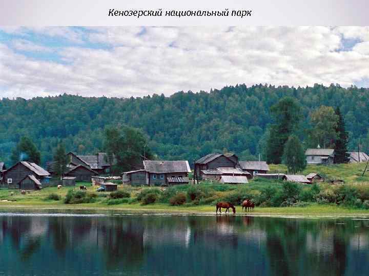 Кенозерский национальный парк 