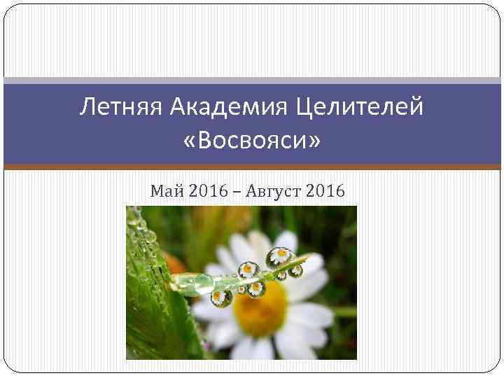 Летняя Академия Целителей «Восвояси» Май 2016 – Август 2016 