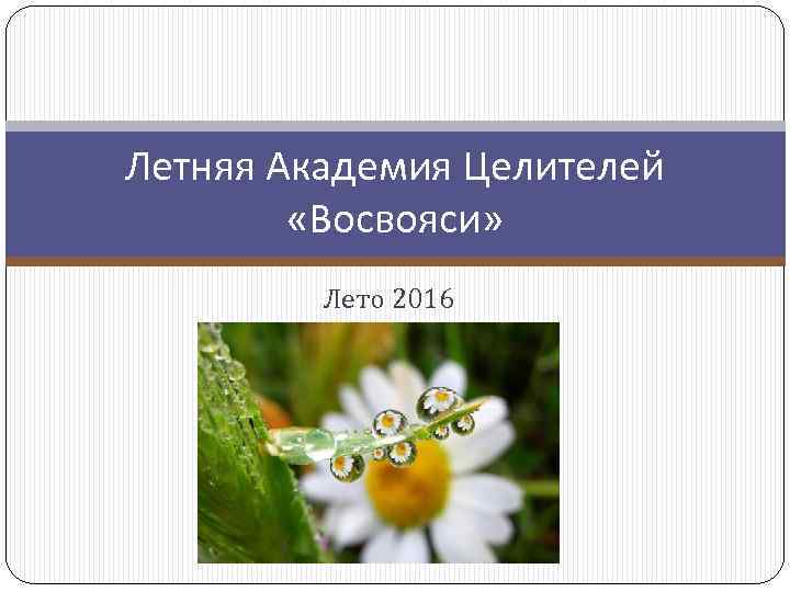 Летняя Академия Целителей «Восвояси» Лето 2016 