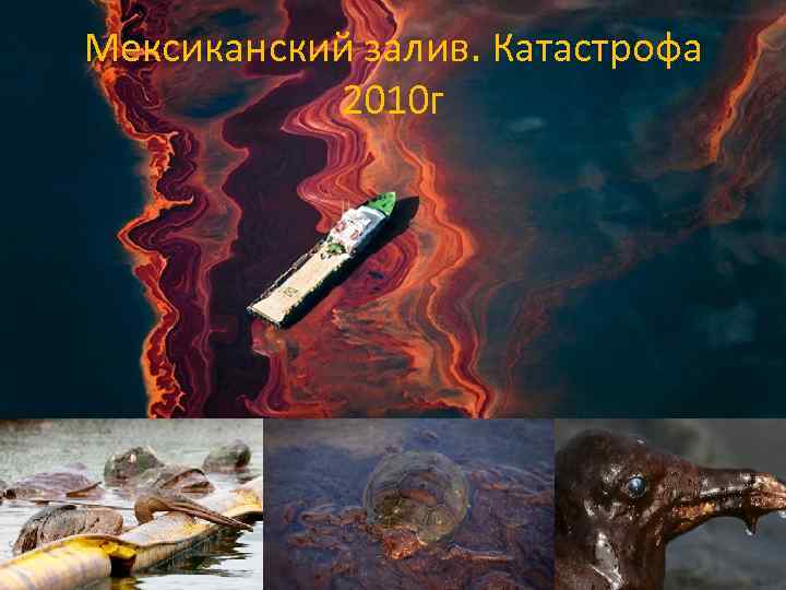 Мексиканский залив. Катастрофа 2010 г 9 