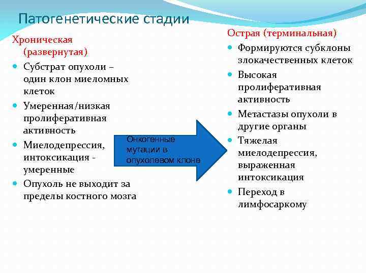 Патогенетические стадии Хроническая (развернутая) Субстрат опухоли – один клон миеломных клеток Умеренная/низкая пролиферативная активность