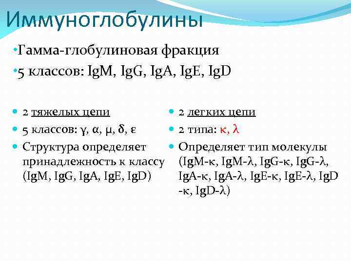 Иммуноглобулины • Гамма-глобулиновая фракция • 5 классов: Ig. M, Ig. G, Ig. A, Ig.