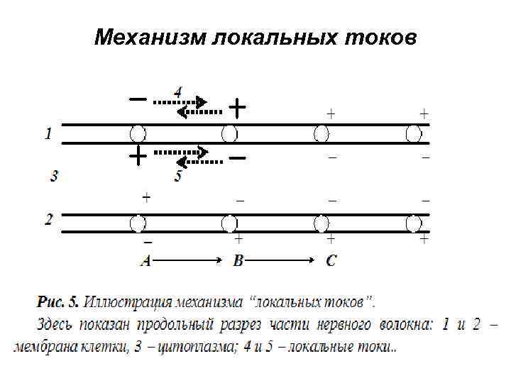 Механизм локальных токов 