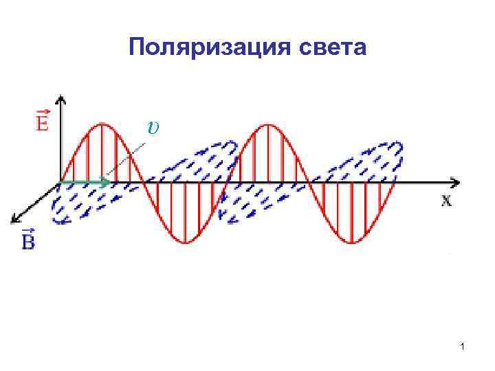 Какая поляризация у мтс