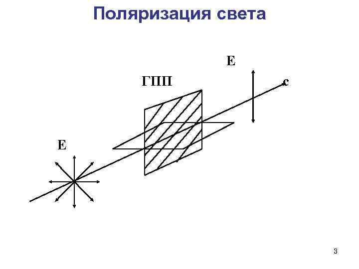 Поляризация света. Явление поляризации света. Источники поляризованного света. Поляризатор света. Поляризация это в физике.