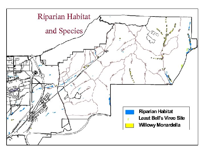 Riparian Habitat and Species 