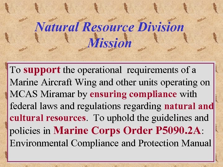Natural Resource Division Mission To support the operational requirements of a Marine Aircraft Wing