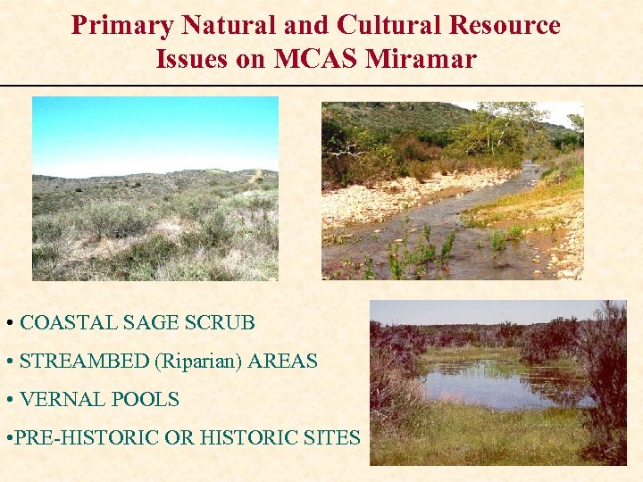 Primary Natural and Cultural Resource Issues on MCAS Miramar • COASTAL SAGE SCRUB •