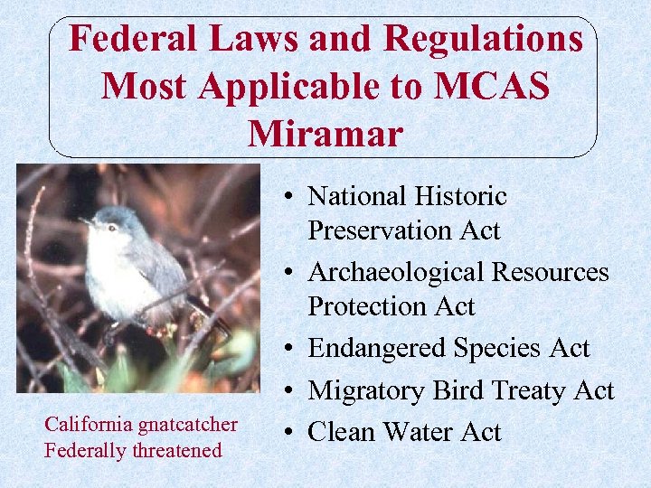 Federal Laws and Regulations Most Applicable to MCAS Miramar California gnatcatcher Federally threatened •