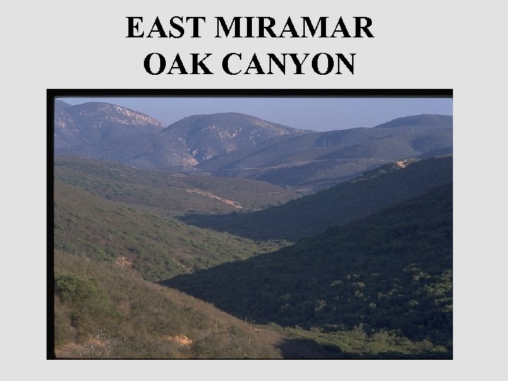 EAST MIRAMAR OAK CANYON 