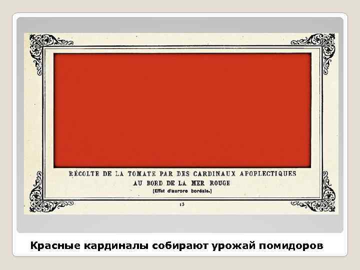 Красные кардиналы собирают урожай помидоров 